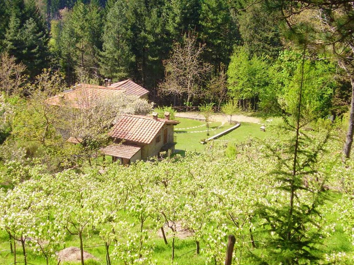 Comfortable House In Bibbiena + Pool Exterior foto