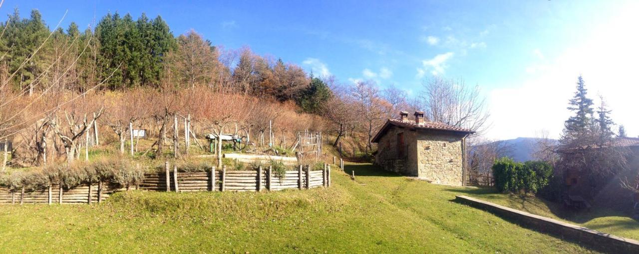 Comfortable House In Bibbiena + Pool Exterior foto